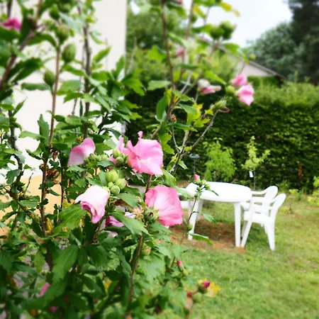 Nouveaute Maison Cocooning Avec Jardin, Terrasse Couverte Et Jacuzzi *